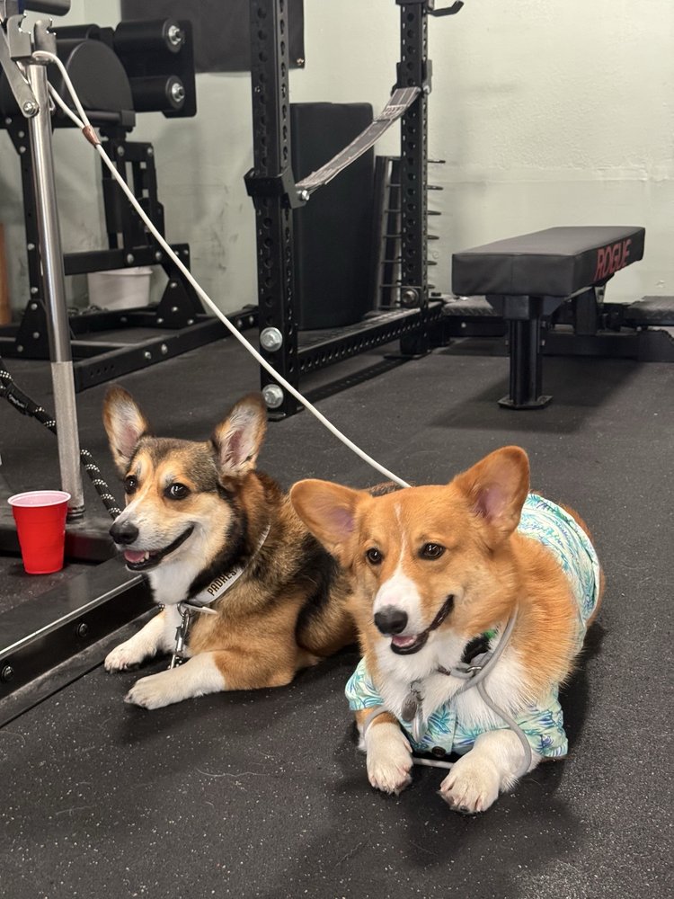 Synergy & Strength Logo