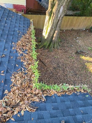 A BETTER GUTTER CLEANING INC. - Updated December 2024 - 10 Photos & 64