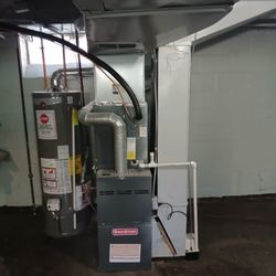 Top Performance Service Group
