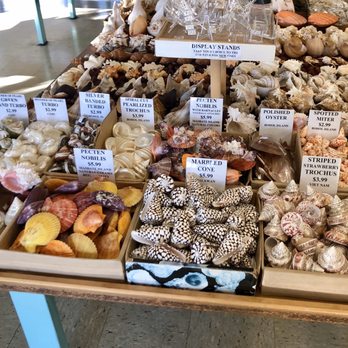 The Shell Shop - Arts & Crafts Near Me - Morro Bay, California