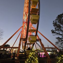 Wild Adventures Theme Park