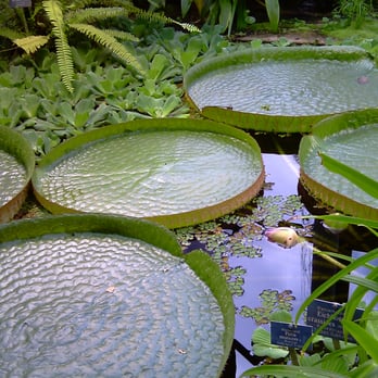 Botanischer Garten - Parks Near Me - Bern, BE