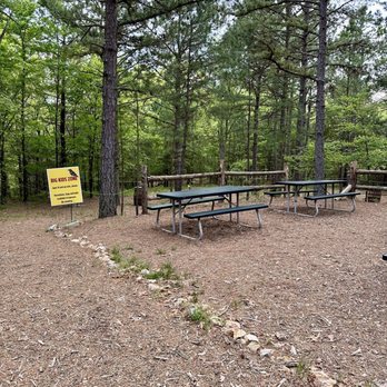 Gotahold Brewing - Another area in beer forest - Breweries Near Me - Eureka Springs, Arkansas Gotahold Brewing - Another area in beer forest - Breweries Near Me - Eureka Springs, Arkansas