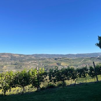 Quinta da Portela - Wineries Near Me - Lamego, 18 Quinta da Portela - Wineries Near Me - Lamego, 18