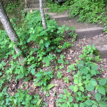 Wyalusing State Park - Stay on the trails, poison ivy is abundant - Hiking Near Me - Bagley, Wisconsin