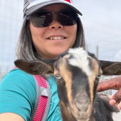 Andelin Family Farm - Cuddling with baby goat