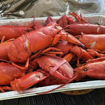 Sea Well Seafood - $96 steamed lobstaaaaa - Seafood Markets Near Me - Pawcatuck, Connecticut Sea Well Seafood - $96 steamed lobstaaaaa - Seafood Markets Near Me - Pawcatuck, Connecticut