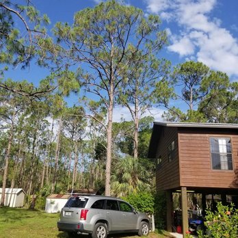 Elite Tree Services - Tree Services Near Me - Lehigh Acres, Florida
