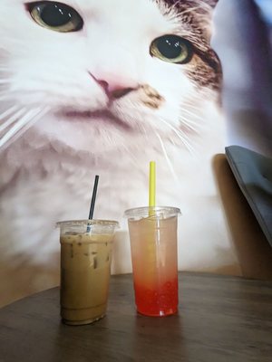SMITTEN KITTEN CAT CAFE - Updated April 2025 - 76 Photos & 24 Reviews