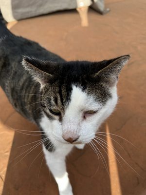 Windy Oaks Winery by null