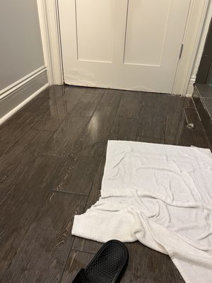 The White House Hotel by null