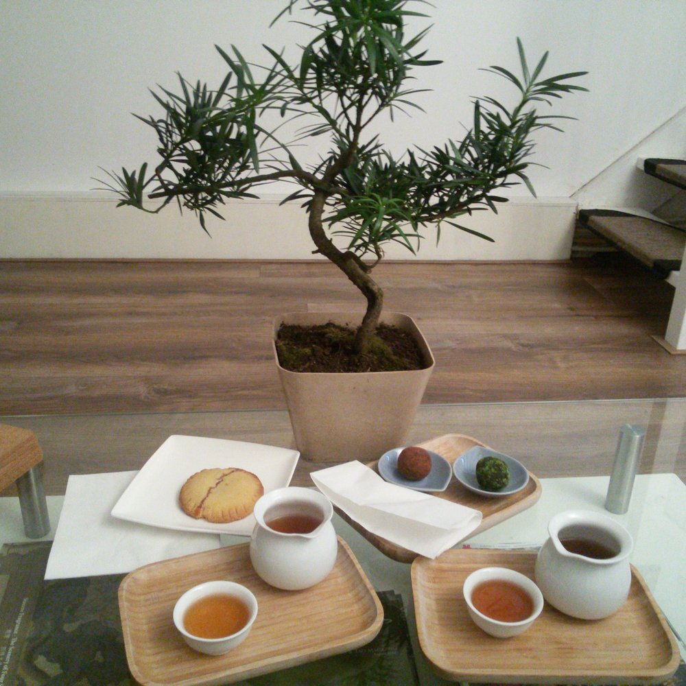 Tea's Delight - Awesome tea with tasty treats. - Tea Rooms Near Me - Amsterdam, New Hampshire