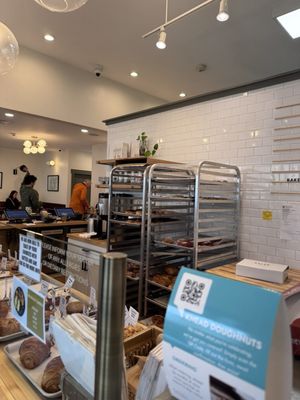 KNEAD Doughnuts by null