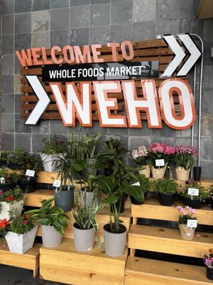 Whole Foods Market by null