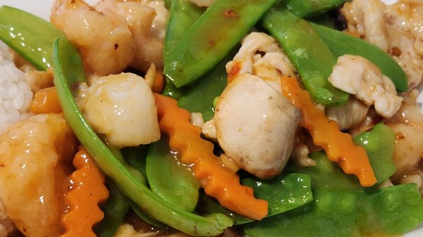 Tsing Tao Restaurant by null