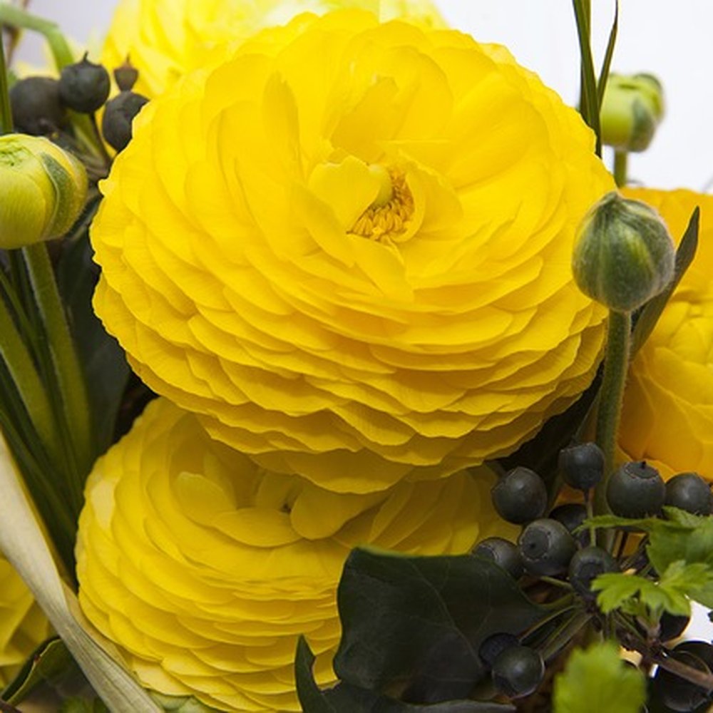 Platinum Flowers - Flower shops in Middlesbrough send flowers by post - Florists Near Me - Hartlepool, RCC