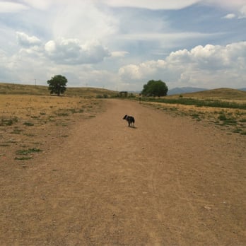 Westminster Dog Park - Dog Parks Near Me - Westminster, Colorado Westminster Dog Park - Dog Parks Near Me - Westminster, Colorado