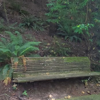 Discovery Park - A well worn bench - Parks Near Me - Seattle, Washington Discovery Park - A well worn bench - Parks Near Me - Seattle, Washington