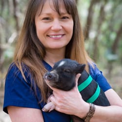 Shelton Veterinary Clinic