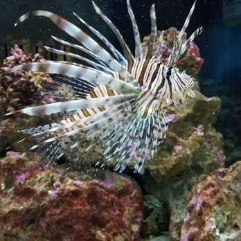 Florida Keys Eco-Discovery Center - Museums Near Me - Key West, Florida