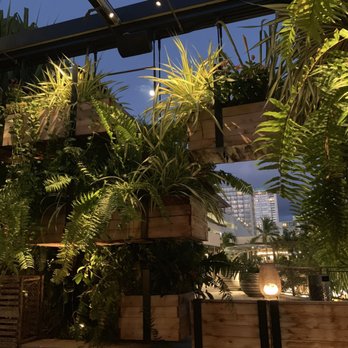 Herringbone Waikiki - Seafood Near Me - Honolulu, Hawaii