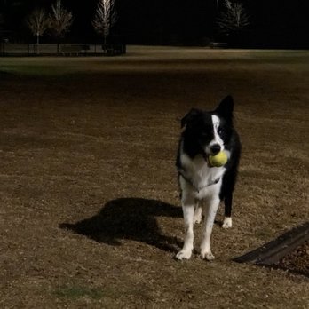 Rock Springs Park - Bobby, my Border Collie pup :) - Dog Parks Near Me - Lawrenceville, Georgia Rock Springs Park - Bobby, my Border Collie pup :) - Dog Parks Near Me - Lawrenceville, Georgia