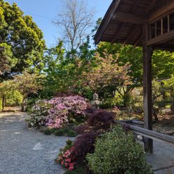 Kato Japanese Garden at Shinn Park