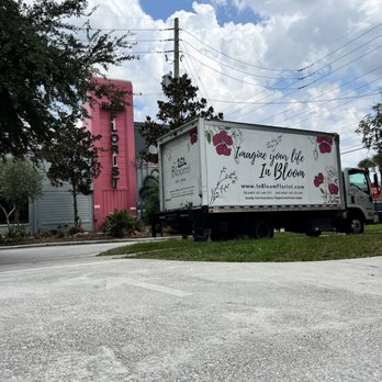 In Bloom Florist - Florists Near Me - Orlando, Florida In Bloom Florist - Florists Near Me - Orlando, Florida