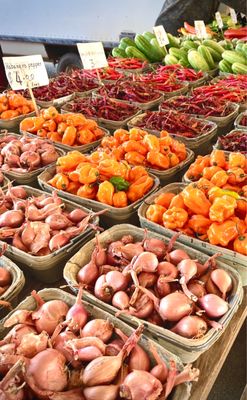 Minneapolis Farmers Market by null