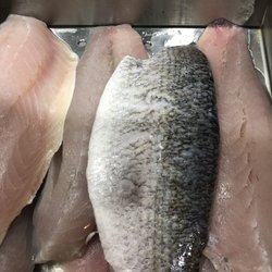 Kingfish Seafood - Barramundi