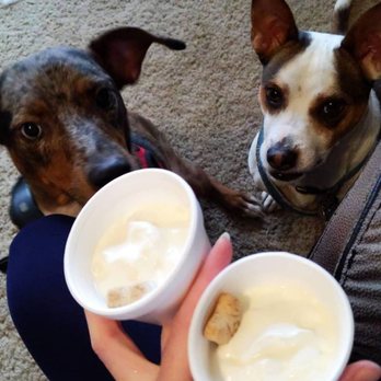 TeeJay's Sweet Tooth - The pup cups! - Desserts Near Me - Indianapolis, Indiana TeeJay's Sweet Tooth - The pup cups! - Desserts Near Me - Indianapolis, Indiana