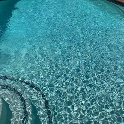 Pool Scrubs