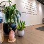 Photo of Australian Yoga Academy