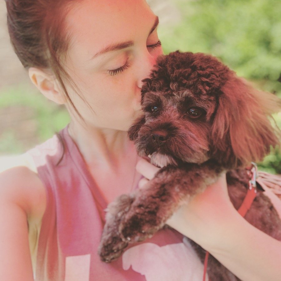 KAYLA’S DOG GROOMING Updated October 2024 1207 Wellington Street W