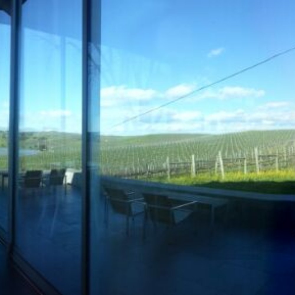 Cuvaison - Panorama from the tasting room - Wineries Near Me - Napa, California Cuvaison - Panorama from the tasting room - Wineries Near Me - Napa, California