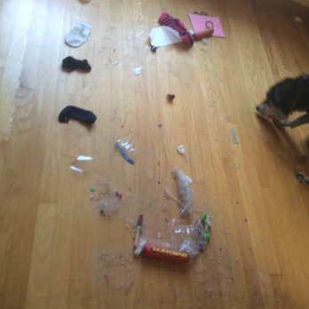 Glass Slipper Cleaning - Behind the couch after "deep clean" - Home Cleaning Near Me - Concord, New Hampshire