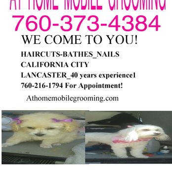 At Home Mobile Grooming - Please call 760-216-1794 Professional Grooming for all breeds at your door! - Pet Groomers Near Me At Home Mobile Grooming - Please call 760-216-1794 Professional Grooming for all breeds at your door! - Pet Groomers Near Me