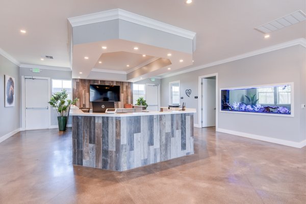 The Ranch Pet Resort & Spa