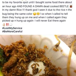 Rice Garden - FRIED BUG IN THE RICE!!!
