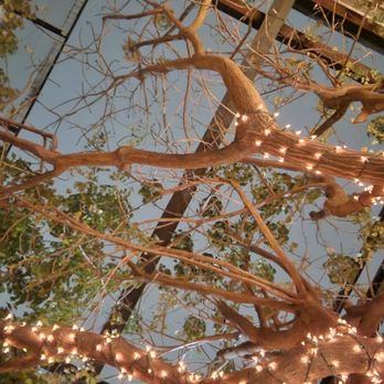 Mirate - Beautiful ceiling - Mexican Near Me - Los Angeles, California Mirate - Beautiful ceiling - Mexican Near Me - Los Angeles, California