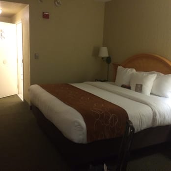 Comfort Suites Downtown - King bed - Hotels Near Me - Orlando, Florida
