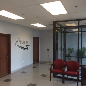 Riverview Veterinary Clinic - Veterinarians Near Me - Plainfield, Illinois