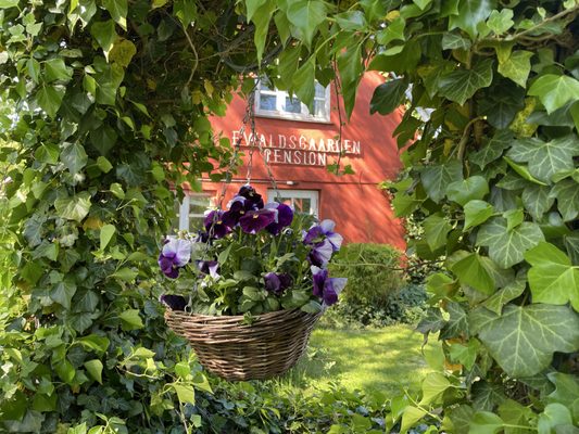 Ewaldsgaarden by null