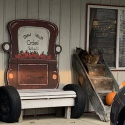 Okaw Valley Orchard - 3 beautiful cats keeping out of the drizzle