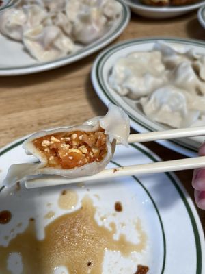 New Dumpling by null