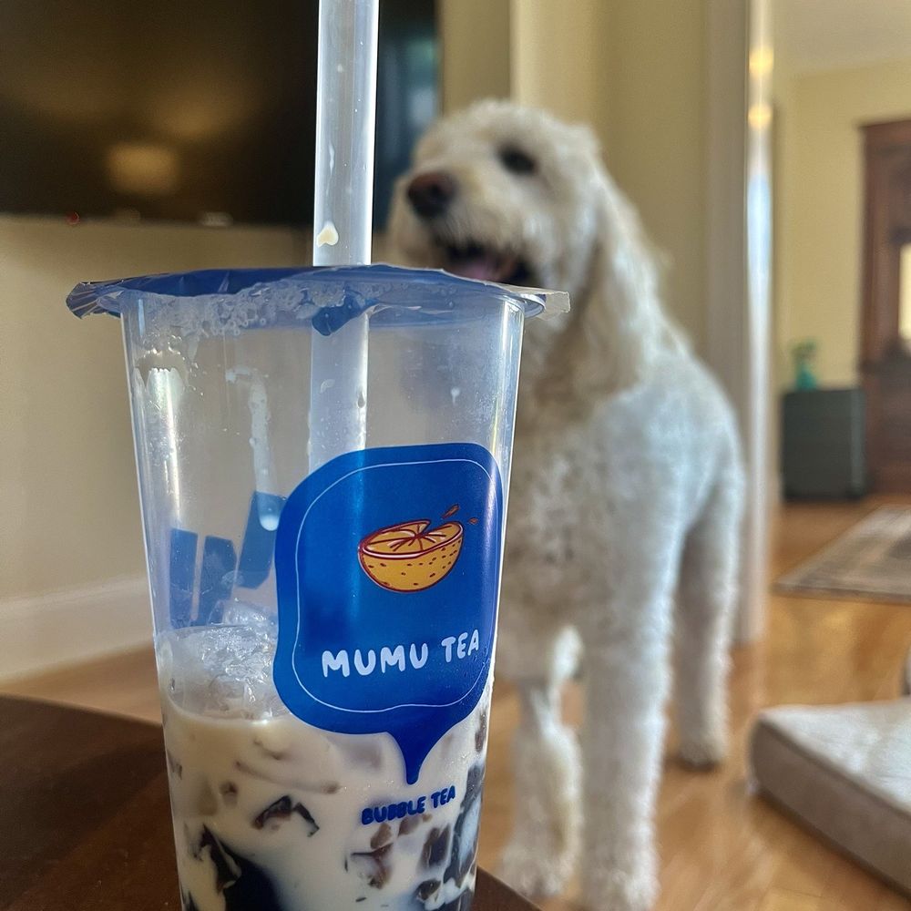 Mu Mu Tea - Medium Longan Red Date Milk Tea | 75% Sweet | Less Ice | Herbal Jelly - Bubble Tea Near Me - Minneapolis, Minnesota