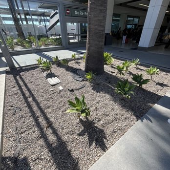 Long Beach Airport - LGB - Long Beach Airport (LGB), CA: Beautiful plants - Airports Near Me - Long Beach, California