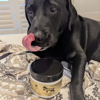 HardyPaw - my dog and the product i ordered from hardypaw - Pet Stores Near Me - Livermore, California HardyPaw - my dog and the product i ordered from hardypaw - Pet Stores Near Me - Livermore, California
