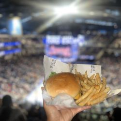 Wintrust Arena - Burger with fries
