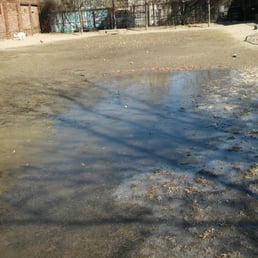 It just shows how badly this park needs help. It just shows how badly this park needs help.